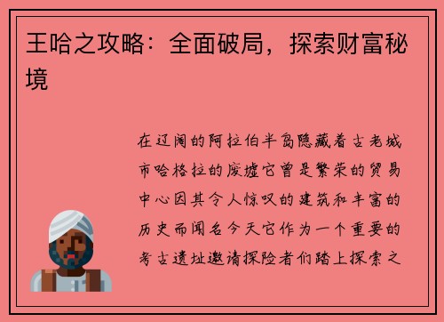 王哈之攻略：全面破局，探索财富秘境